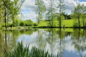 Lautzebachweiher Dautphe - CC Maiti Werner