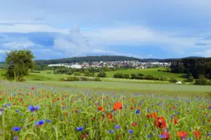 Hohenahr, Ortsteil Erda