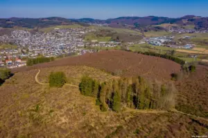 Lebensraum Hauberg an der Haubergstour (Foto: © Siegbert Werner)