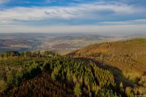 Lebensraum Hauberg am Eschenburgpfad (Foto: © Siegbert Werner)